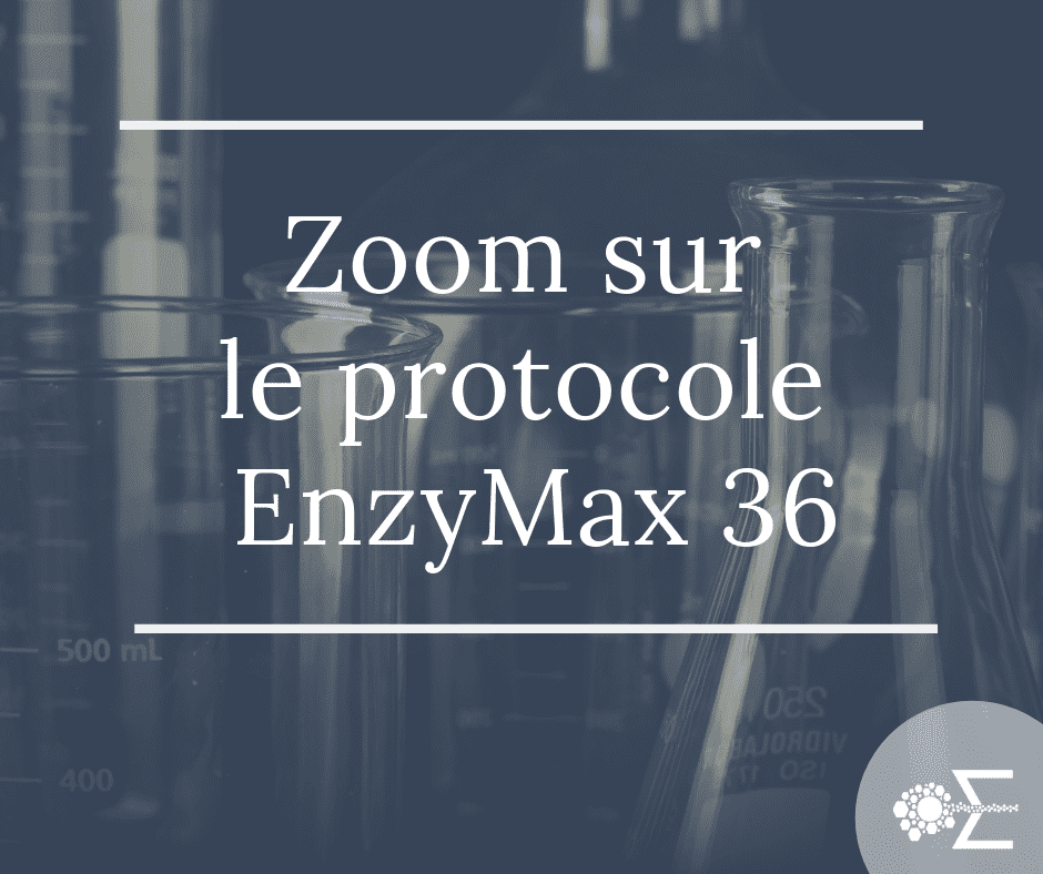 protocole enzymax 36